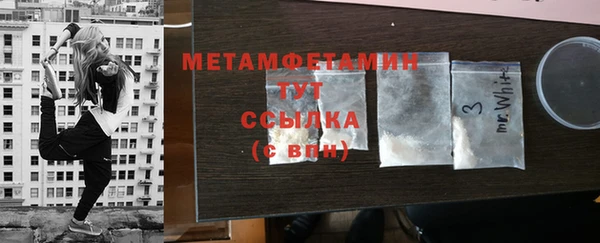 сатива Каменка