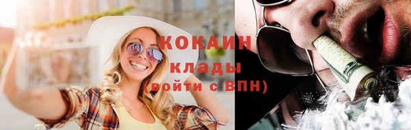 сатива Каменка