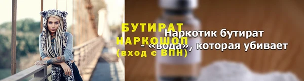 сатива Каменка