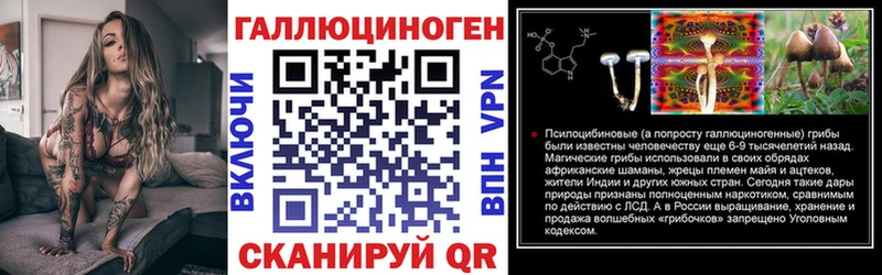 Купить где  Орлов  Галлюциногенные грибы GOLDEN TEACHER 
