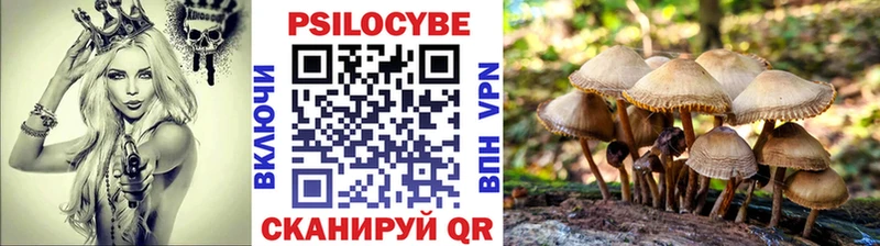 Галлюциногенные грибы MAGIC MUSHROOMS Орлов